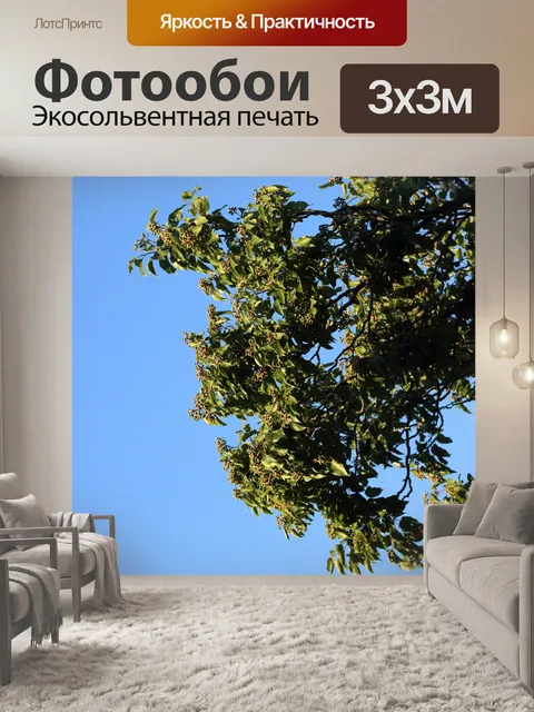 Фотообои зеленые листья и созревающие плоды