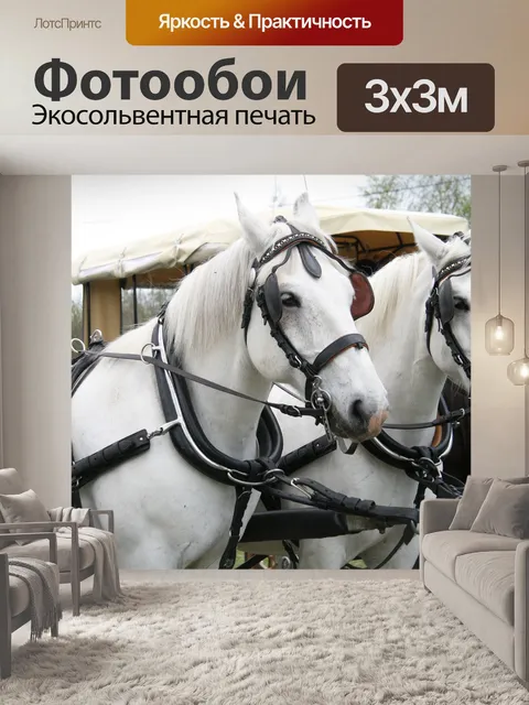 Фотообои Лошади