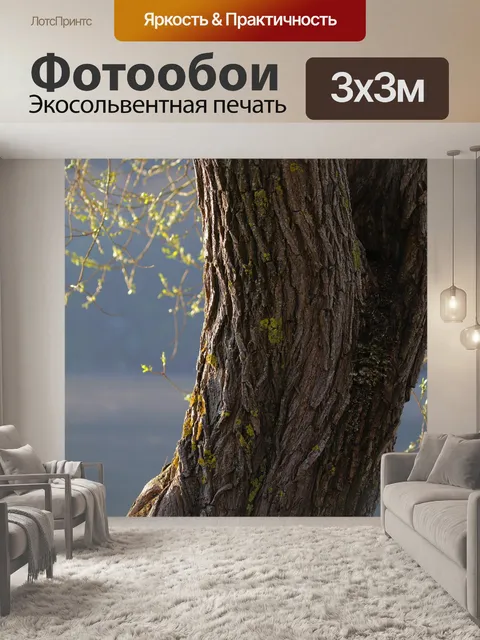 Фотообои Поймы реки