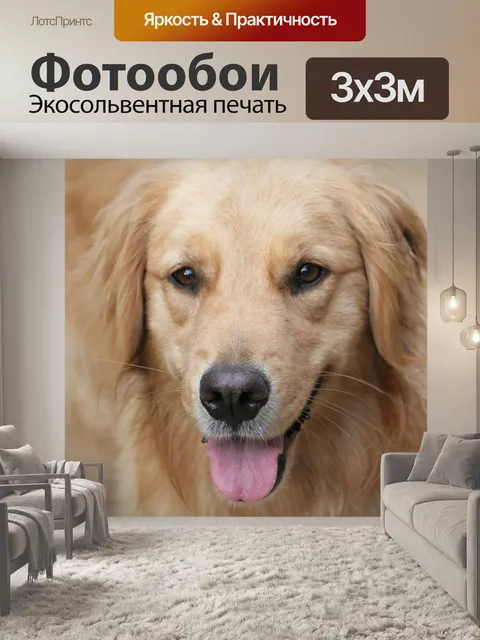Фотообои Собака
