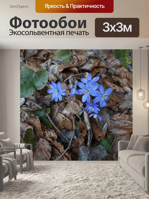 Фотообои Печеночник