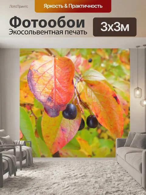 Фотообои Осенние цветы