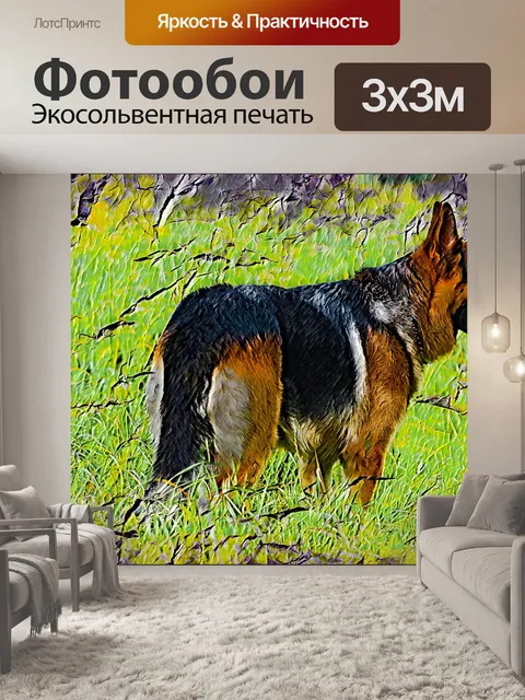 Фотообои немецкая овчарка, домашнее животное
