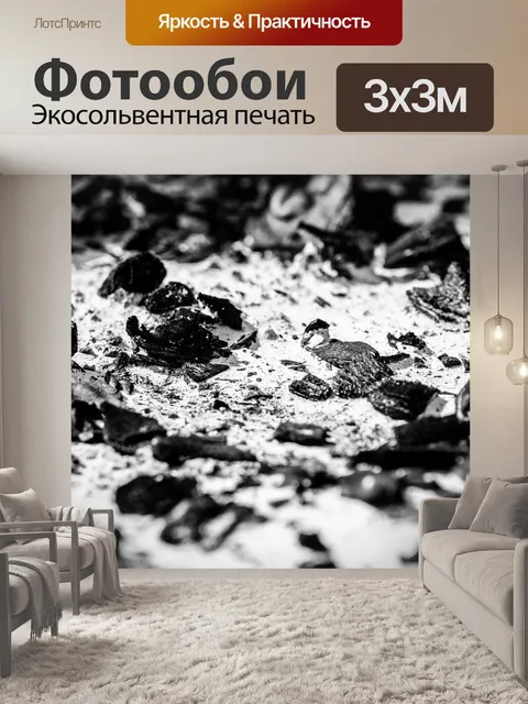 Фотообои Барбекю