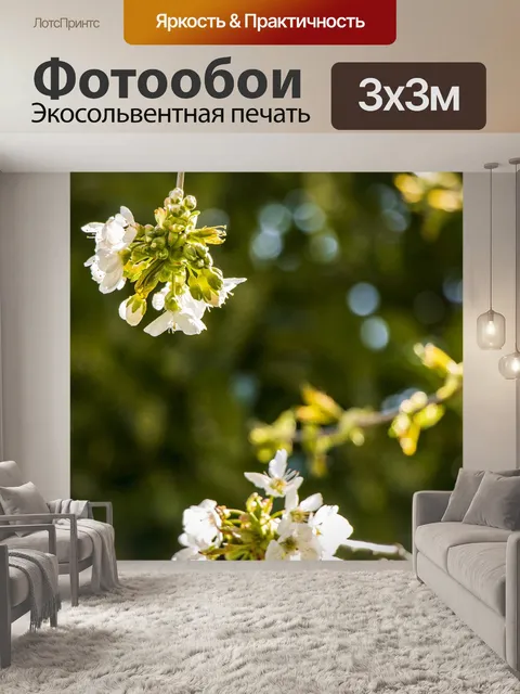 Фотообои Белые цветки