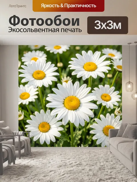 Фотообои Белые ромашки в зелёном поле