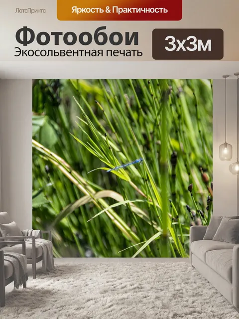 Фотообои лазурная красотка