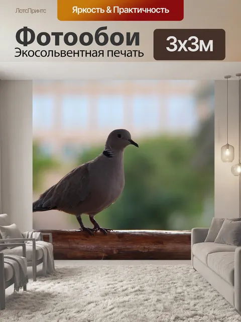 Фотообои Птица