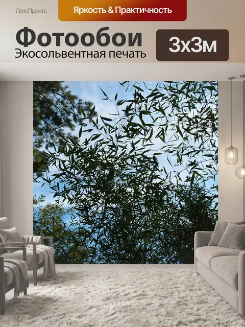 Фотообои Небо