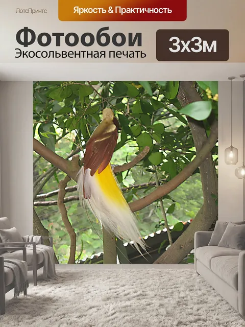 Фотообои небо птица