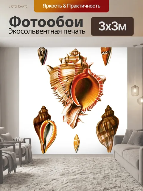 Фотообои Морская Ракушка Улитка Винтаж Морская