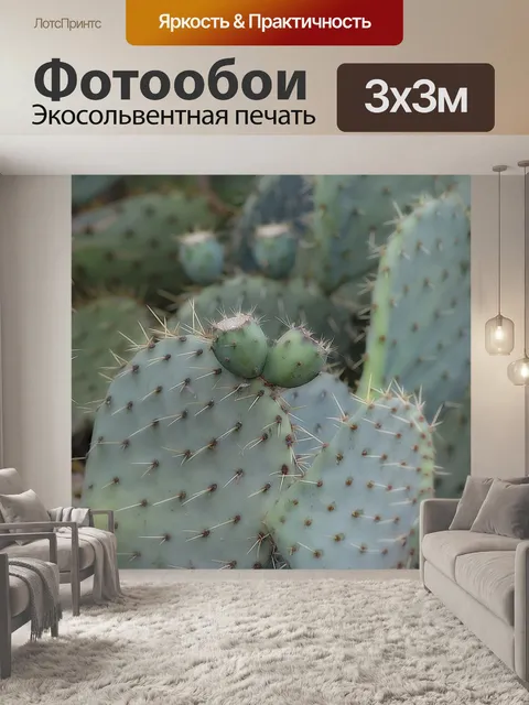 Фотообои Инжир