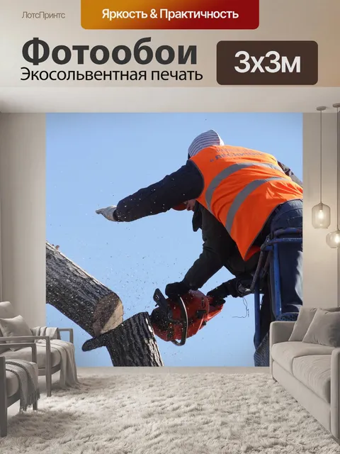 Фотообои Спил