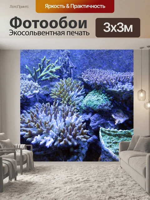 Фотообои Коралл