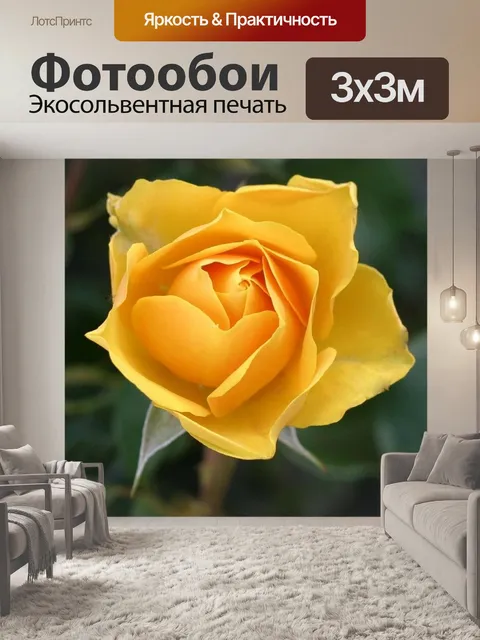 Фотообои Цветок