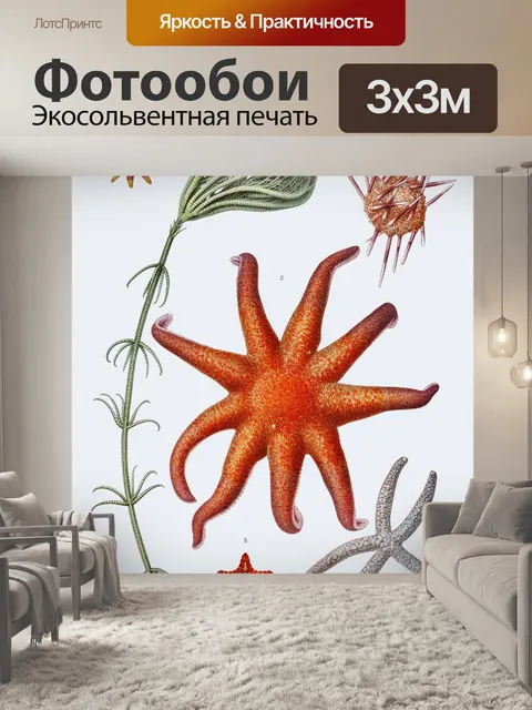 Фотообои Морская звезда старинное искусство стары