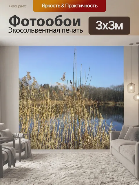 Фотообои Тростник