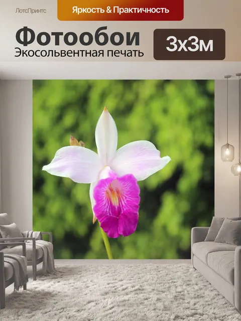 Фотообои Цветы