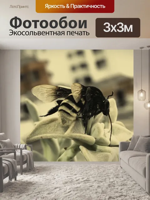 Фотообои Макрос