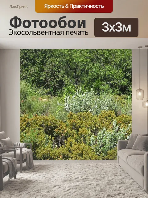 Фотообои Растительность и деревья