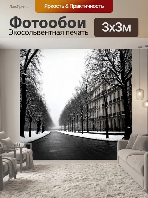 Фотообои грустный пейзаж зимнего парижа