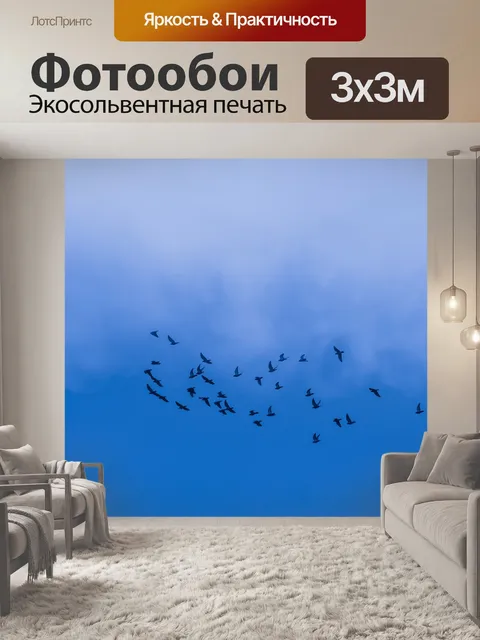 Фотообои Небо