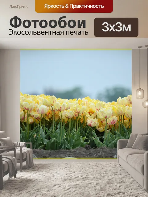 Фотообои Желтые тюльпаны