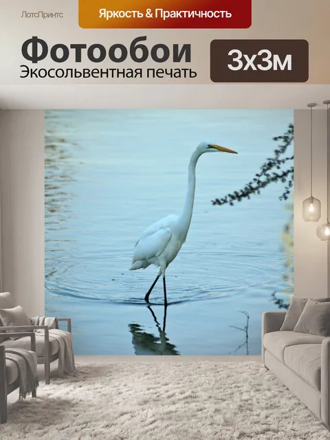 Фотообои Большая белая цапля