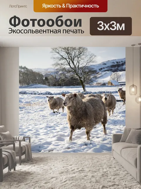 Фотообои Овцы в снегу