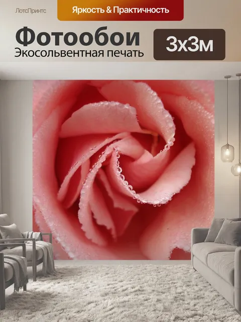 Фотообои Роза