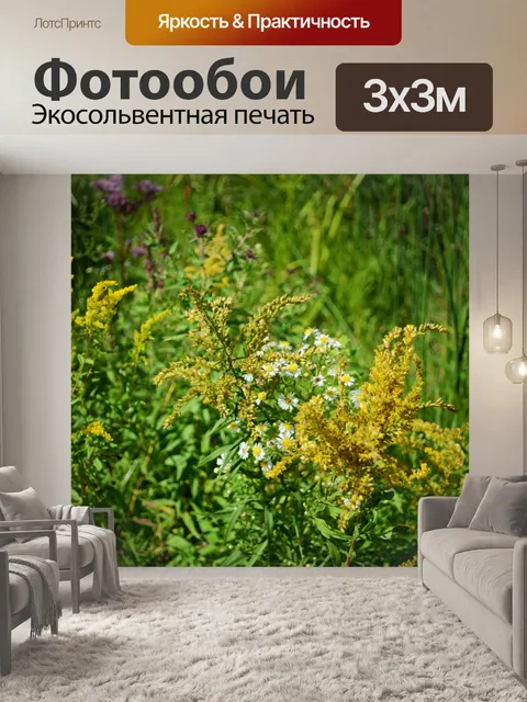 Фотообои Осенние цветы 1