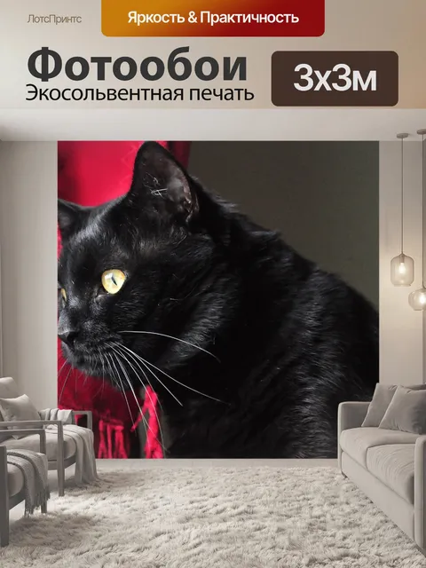 Фотообои Мониторинг
