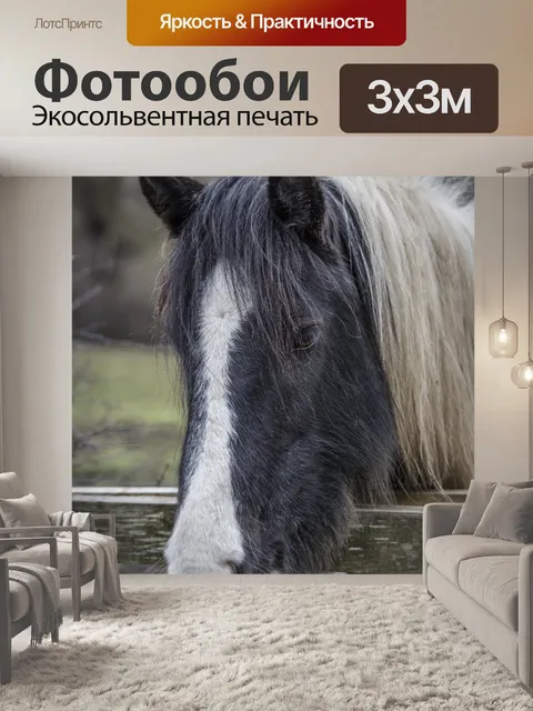 Фотообои лошадь