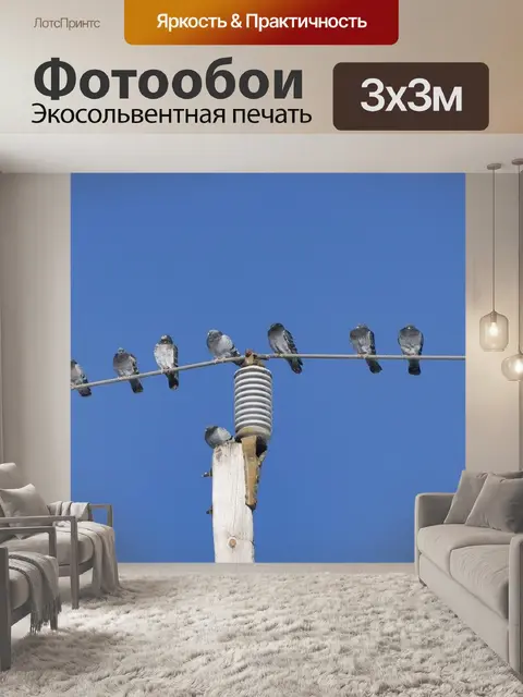 Фотообои Птицы