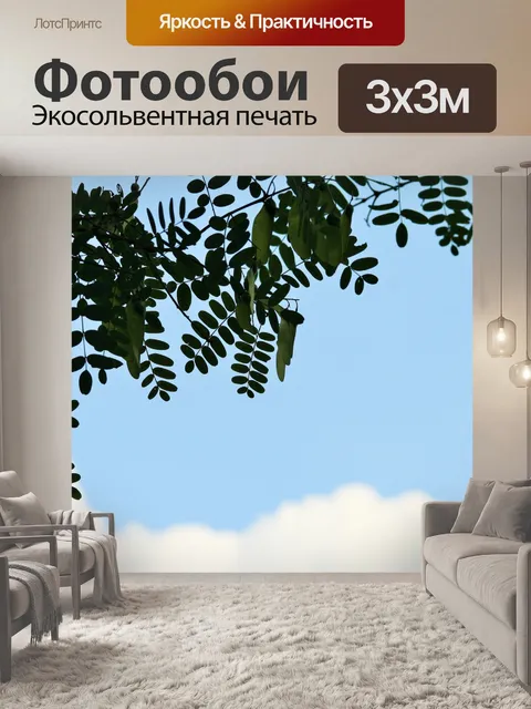 Фотообои Tipuana листва деревьев против неба