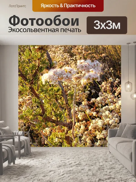 Фотообои Цветы гречихи