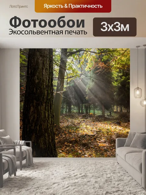 Фотообои Лучи