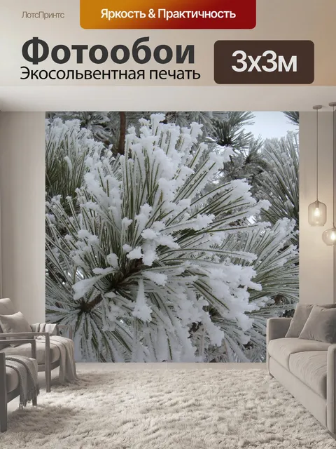 Фотообои Мороз
