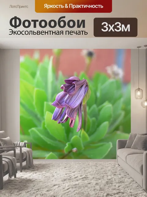 Фотообои Цветущий