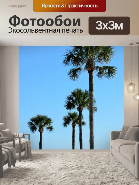 Фотообои Тропические деревья Пальмы