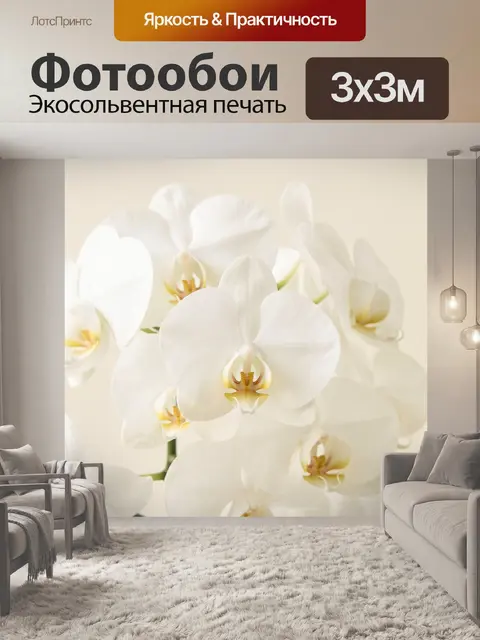 Фотообои Белые орхидеи крупным планом