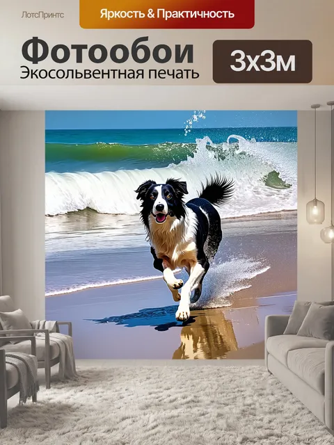 Фотообои на пляже, бордер-колли, бегущий вдоль волны, его шерсть намокла, а на солнце сверкает