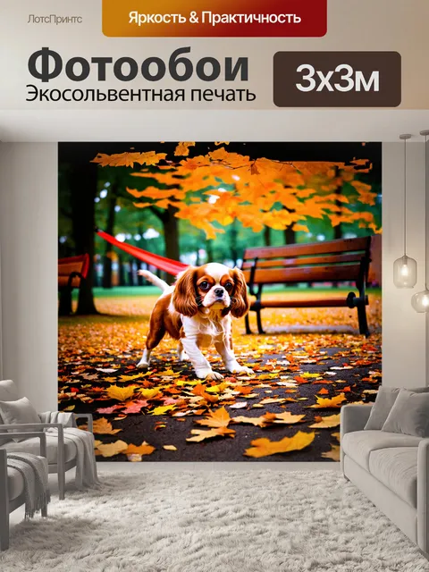 Фотообои главным объектом является радостная собака кавалер кинг чарльз спаниель