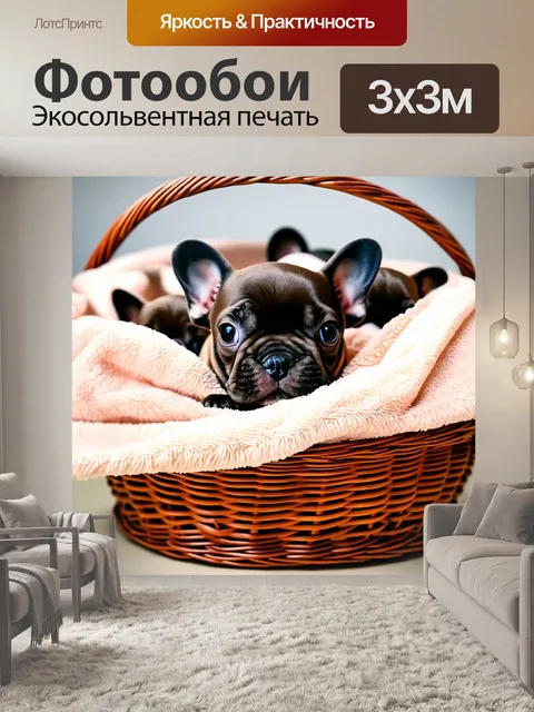 Фотообои щенки французского бульдога прячутся в большой корзине, покрытой мягким пледом, придающим уютный вид