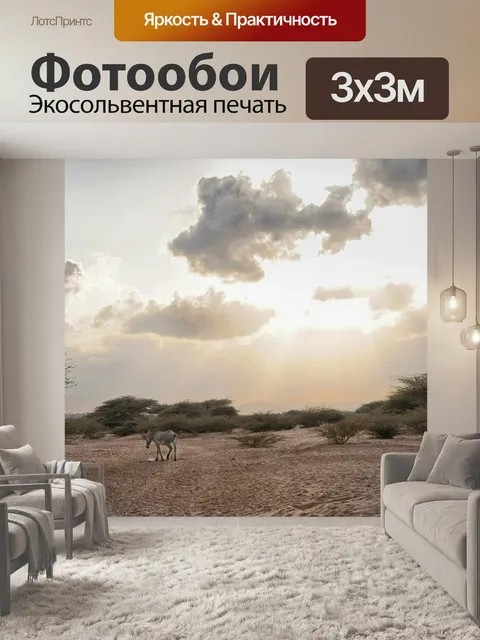 Фотообои Джибути