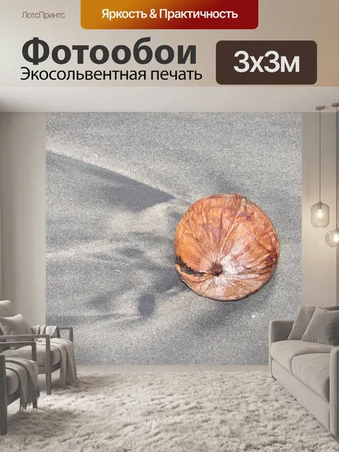 Фотообои Кокос