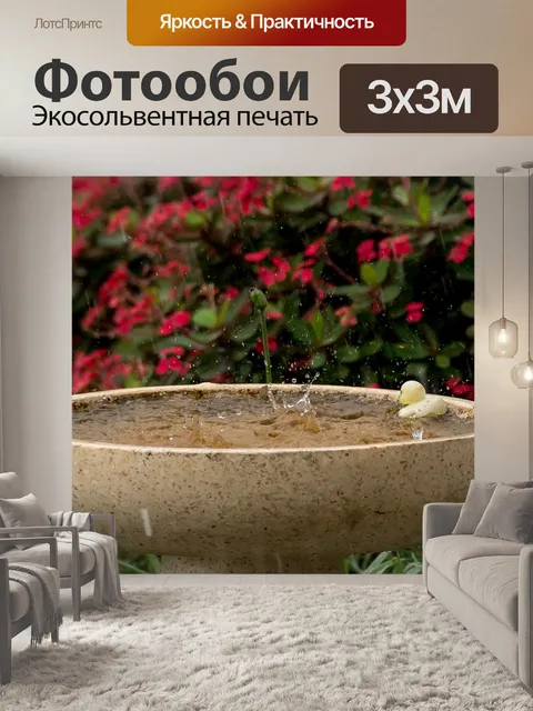 Фотообои Дождь