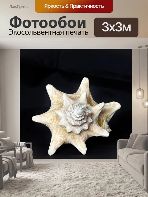 Фотообои Устрицы