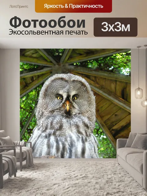Фотообои Барт сова