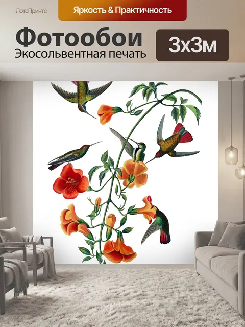 Фотообои Колибри цветок старинный клипарт